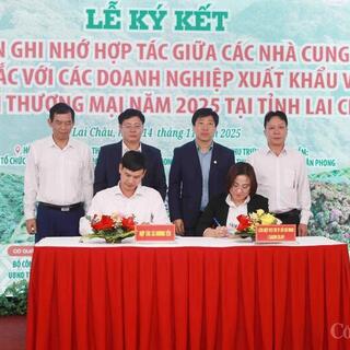 <a href="/van-hoa-gia-dinh/xttm" title="XTTM" rel="dofollow">XTTM</a>