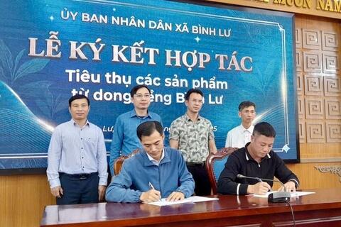 Mở rộng thị trường chế biến dong riềng