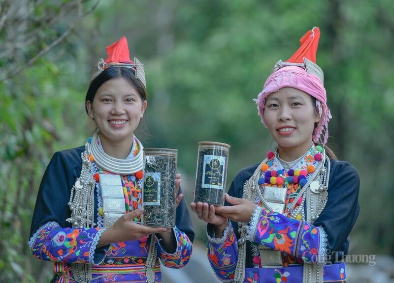 Sản phảm chè Shan tuyết của Hợp tác xã Biên Cương đạt tiêu chuẩn OCOP 3 sao và đã có chỗ đứng trên thị trường.